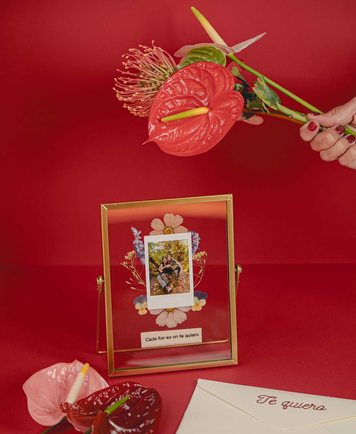 Marco | Flores + Instax